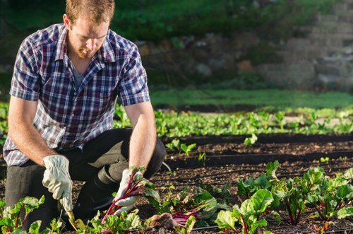 Community garden where diverted green waste is composted and reused