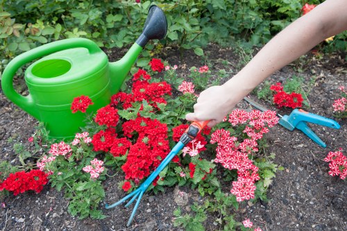 Front view of a gardener inspecting a landscaped garden
