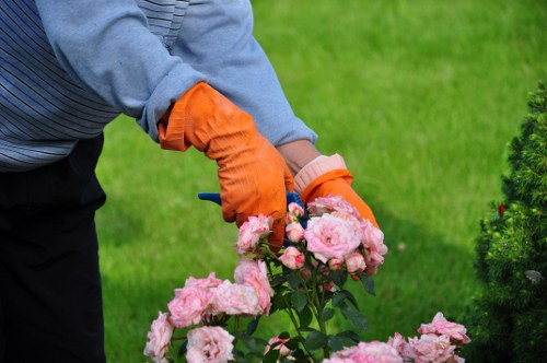 Gardener pruning shrubs in a residential garden